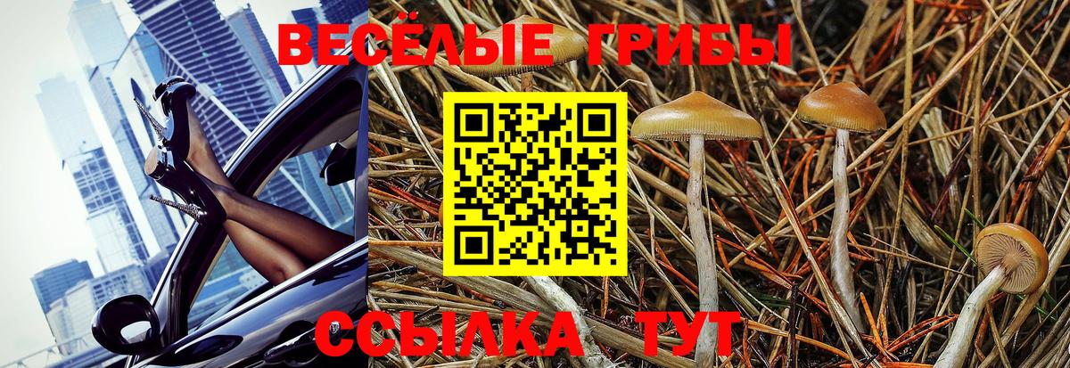 Иваново  Галлюциногенные грибы мицелий  Вход с VPN  Псилоцибиновые грибы GOLDEN TEACHER 